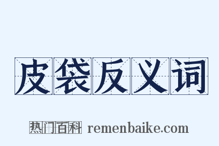 皮袋反义词是什么意思的图片